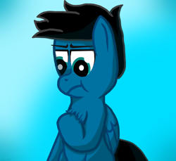 Size: 3600x3300 | Tagged: safe, artist:agkandphotomaker2000, oc, oc:pony video maker, pegasus, pony, chest fluff, disappointed, fluffy, simple drawing