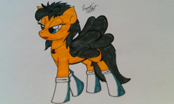 Size: 1200x716 | Tagged: safe, artist:lucas_gaxiola, oc, oc only, pegasus, pony, bedroom eyes, clothes, female, mare, pegasus oc, signature, socks, solo, traditional art, wings