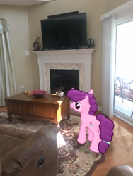 Size: 3024x4032 | Tagged: safe, photographer:undeadponysoldier, sugar belle, earth pony, pony, augmented reality, clock, female, fireplace, flatscreen, gameloft, irl, mare, photo, ponies in real life, solo, table, television