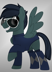 Size: 1000x1379 | Tagged: safe, artist:black_bon, oc, oc:pathfinder, pony, clothes, male, socks