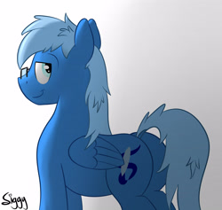 Size: 4991x4726 | Tagged: safe, artist:siggyderp, oc, oc only, oc:blue brush, pegasus, pony, butt, dock, glasses, looking back, male, plot, signature, simple background, solo, stallion, white background