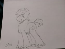 Size: 3264x2448 | Tagged: safe, artist:siggyderp, braeburn, earth pony, pony, black and white, freckles, grayscale, lineart, male, monochrome, signature, sketch, solo, stallion, traditional art