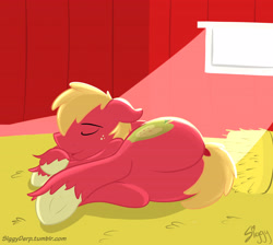 Size: 5000x4470 | Tagged: safe, artist:siggyderp, big macintosh, earth pony, pony, barn, big backintosh, butt, commission, cute, dock, hay, hay bale, lying down, macabetes, male, plot, signature, sleeping, solo, stallion, underhoof, watermark, window