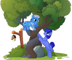 Size: 3190x2655 | Tagged: safe, artist:unichan, oc, oc only, oc:mecha-den, oc:skyberry delight, pegasus, pony, bird house, blue coat, bush, clothes, hat, intertwined trees, leaves, looking at each other, nurse hat, rock, scarf, simple background, smiling, transparent background, tree, wings, ych result