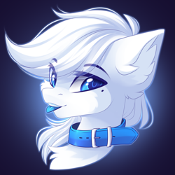 Size: 3333x3333 | Tagged: safe, artist:airiniblock, oc, oc only, pony, :p, blue eyes, blue tongue, bust, cheek fluff, chest fluff, collar, commission, ear fluff, looking at you, male, portrait, solo, tongue out, white coat, white mane