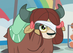 Size: 706x517 | Tagged: safe, screencap, yona, yak, 2 4 6 greaaat, blindfold, bow, cloven hooves, cropped, cute, female, hair bow, monkey swings, solo, yonadorable