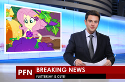 Size: 1200x794 | Tagged: safe, edit, fluttershy, human, better together, equestria girls, holidays unwrapped, breaking news, irl, irl human, photo