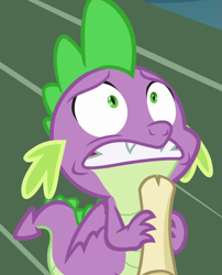 Size: 583x720 | Tagged: safe, screencap, spike, dragon, between dark and dawn, claws, cropped, fangs, male, nervous, reaction image, scroll, solo, tail, winged spike, wings