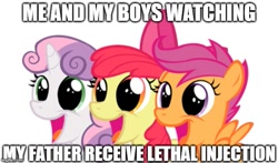 Size: 651x383 | Tagged: safe, artist:squidponer, apple bloom, scootaloo, sweetie belle, earth pony, pegasus, pony, unicorn, caption, cutie mark crusaders, edgy, female, filly, image macro, impact font, implied death, implied execution, meme, text