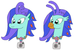 Size: 3108x2119 | Tagged: safe, artist:supahdonarudo, oc, oc only, oc:sea lilly, classical hippogriff, hippogriff, seapony (g4), bust, camera, head, jewelry, necklace, simple background, transparent background