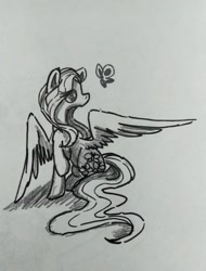 Size: 1280x1681 | Tagged: safe, artist:blutmie89, fluttershy, butterfly, pegasus, pony, female, mare, monochrome, solo, traditional art