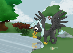 Size: 4172x3038 | Tagged: safe, artist:sixes&sevens, thunderlane, griffon, bottle, cattails, cloud, faded cutie mark, griffonized, implied flim flam brothers, lake, outdoors, pointing, reflection, rock, shocked, species swap, spread wings, transformation, tree, wings