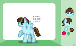Size: 1465x900 | Tagged: safe, artist:99999999000, oc, oc:li jie ai, pegasus, pony, chinese, female, filly, reference sheet, solo, younger