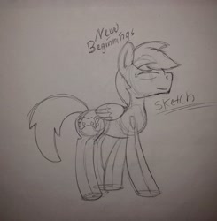 Size: 2946x3009 | Tagged: safe, artist:neonraveparty, oc, oc:michael typhoon, pegasus, circles, contrast, cutie mark, guidelines, half assed, new beginning, quick, quick sketch, rough draft, simple background, sketch, white background, writing