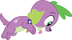 Size: 2882x1620 | Tagged: safe, alternate version, artist:efernothedragon, derpibooru exclusive, spike, spike the regular dog, dog, better together, equestria girls, cute, puppy, simple background, solo, spikabetes, spike's dog collar, transparent background, vector