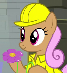 Size: 325x350 | Tagged: safe, screencap, earth pony, pony, the last laugh, background pony, cropped, hard hat, petal smiles, solo, squirting flower