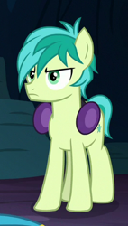 Size: 263x462 | Tagged: safe, screencap, sandbar, earth pony, pony, uprooted, cropped, earmuffs, hooves, male, solo, upset