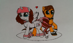 Size: 1200x716 | Tagged: safe, artist:lucas_gaxiola, oc, oc only, oc:charmed clover, oc:usagi, alicorn, pony, alicorn oc, cuffs (clothes), duo, glasses, jewelry, male, necklace, stallion, traditional art