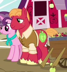 Size: 600x650 | Tagged: safe, screencap, big macintosh, sugar belle, earth pony, pony, unicorn, the last problem, apple, cropped, female, food, husband and wife, male, mare, older, older big macintosh, older sugar belle, photo, shipping, smiling, stallion, straight, sugarmac, sweet apple acres, wrong aspect ratio