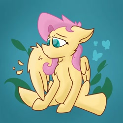 Size: 894x894 | Tagged: safe, artist:antimationyt, fluttershy, pegasus, pony, chest fluff, female, grooming, mare, one wing out, partial background, preening, sitting, solo, three quarter view, wings