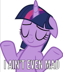 Size: 806x914 | Tagged: safe, twilight sparkle, twilight sparkle (alicorn), alicorn, sparkle's seven, caption, image macro, meme, shrug, solo, text