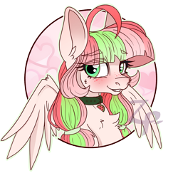 Size: 600x600 | Tagged: safe, artist:zombies-pudding, oc, oc only, oc:melony surprise, pegasus, pony, blushing, bust, chest fluff, collar, female, freckles, looking at you, mare, portrait, simple background, solo, transparent background