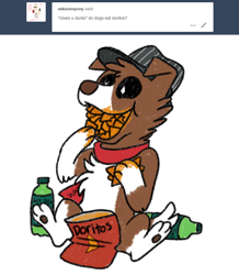 Size: 800x916 | Tagged: safe, artist:askwinonadog, winona, dog, ask, ask winona, baseball cap, cap, chips, doritos, eating, food, hat, messy eating, mountain dew, simple background, solo, tumblr, white background