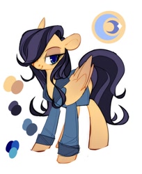 Size: 880x1080 | Tagged: safe, artist:angrygem, oc, pegasus, pony, clothes, reference sheet, solo