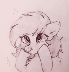 Size: 500x523 | Tagged: safe, artist:raily, pony, bust, sketch, solo