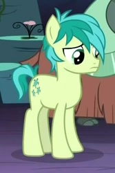 Size: 290x435 | Tagged: safe, screencap, sandbar, yona, earth pony, pony, uprooted, cropped, hooves, male, offscreen character