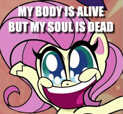 Size: 621x577 | Tagged: safe, edit, fluttershy, pegasus, pony, my little pony: pony life, caption, dead inside, exuberant airdancer fluttershy, image macro, text