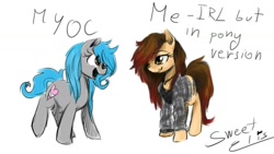 Size: 1280x720 | Tagged: safe, artist:elisdoominika, oc, oc only, oc:sweet elis, pony, clothes, comparison, simple background