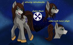 Size: 2560x1600 | Tagged: safe, artist:crimsonwolf360, oc, oc only, oc:whirly windmills, earth pony, pony, male, ponytail, reference sheet, stallion, unshorn fetlocks