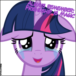 Size: 4000x4000 | Tagged: safe, artist:mrkat7214, twilight sparkle, twilight sparkle (alicorn), alicorn, pony, absurd resolution, adorkable, adorkable twilight, beautiful, crying, crylight, crylight sparkle, cute, daaaaaaaaaaaw, dialogue, dork, end of ponies, feels, female, floppy ears, goodbye, grand finale, happy, hnnng, looking at you, mare, open mouth, puppy dog eyes, remember, rememberance, sad, sadorable, simple background, smiling, smiling at you, solo, sweet dreams fuel, talking to viewer, tears of joy, teary eyes, title drop, twiabetes, twily, vector, weapons-grade cute, white background