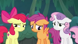 Size: 1920x1080 | Tagged: safe, screencap, apple bloom, scootaloo, sweetie belle, pony, the big mac question, cutie mark crusaders, floppy ears