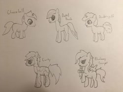 Size: 2048x1536 | Tagged: safe, artist:carty, oc, oc only, oc:blueberry crumpet, oc:carty, oc:cheeseball, oc:pastel brush, oc:powder puff, earth pony, pegasus, pony, unicorn, colt, female, filly, male, monochrome, traditional art