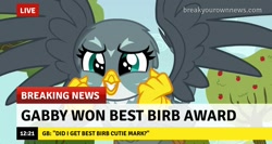 Size: 1275x678 | Tagged: safe, edit, edited screencap, screencap, gabby, the fault in our cutie marks, birb, breaking news, caption, cute, gabbybetes, happy, image macro, sad description, text