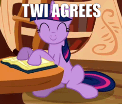 Size: 493x420 | Tagged: safe, edit, edited screencap, screencap, twilight sparkle, unicorn twilight, pony, unicorn, a friend in deed, animated, book, caption, cropped, cute, eyes closed, female, golden oaks library, image macro, ladder, looking at you, mare, nodding, sitting, smiling, solo, text, twiabetes, yes