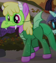 Size: 360x411 | Tagged: safe, screencap, cherry berry, earth pony, pony, scare master, clothes, costume, cropped, dragon costume, nightmare night, nightmare night costume, solo focus