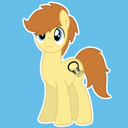 Size: 2084x2084 | Tagged: safe, artist:captshowtime, oc, oc only, oc:tech, oc:techmagic, earth pony, pony, commission, custom icon, digital art, icon, male, ponysona, simple background, solo, stallion, vector