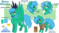 Size: 2910x1650 | Tagged: safe, artist:tenebristayga, oc, oc:rover wonder, pegasus, pony, reference sheet, solo