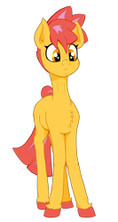 Size: 2462x4620 | Tagged: safe, artist:paskanaakka, part of a set, oc, oc only, oc:ciaran, earth pony, pony, chest fluff, colored hooves, commission, confused, digital art, female, frown, mare, simple background, solo, standing, transparent background