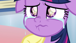 Size: 1920x1080 | Tagged: safe, derpibooru import, screencap, fluttershy, twilight sparkle, twilight sparkle (alicorn), alicorn, pegasus, pony, the ending of the end, comforting, context is for the weak, crying, cute, eye reflection, reflection, sad, scared, tears of pain, teary eyes, underhoof