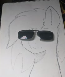 Size: 2305x2738 | Tagged: safe, artist:pinkamenace, oc, oc:golden lotus, pony, bust, solo, sunglasses, traditional art