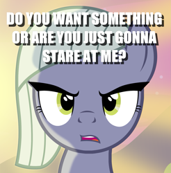 Size: 1297x1317 | Tagged: artist needed, safe, edit, limestone pie, earth pony, pony, bronybait, bust, caption, cropped, female, image macro, mare, solo, text