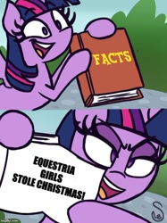 Size: 500x667 | Tagged: safe, artist:quarium edits, twilight sparkle, twilight sparkle (alicorn), alicorn, better together, equestria girls, holidays unwrapped, book, caption, exploitable meme, image macro, joke, meme, solo, text, twilight's fact book