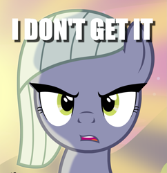 Size: 1307x1350 | Tagged: safe, edit, limestone pie, earth pony, pony, caption, female, i don't get it, image macro, mare, reaction image, text