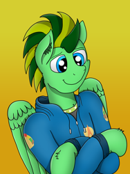 Size: 3024x4032 | Tagged: safe, artist:tacomytaco, oc, oc:taco.m.tacoson, pegasus, pony, bipedal, clothes, crossed arms, gradient background, hoodie, male, shirt, solo