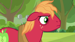 Size: 1920x1080 | Tagged: safe, screencap, big macintosh, earth pony, pony, going to seed, apple, apple tree, bags under eyes, freckles, frown, male, solo, stallion, tree