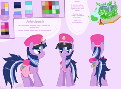 Size: 4943x3629 | Tagged: safe, artist:ricktin, oc, oc:paddy sparkle, alicorn, pony, alicorn oc, reference sheet, shopkeeper, solo